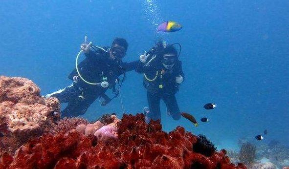 请问什么样的短裤叫百慕大短裤知识星球平台 - 探索无限的知识宇宙